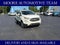 2019 FORD TRUCK ECOSPORT SE